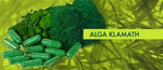 Algas Klamath en polvo