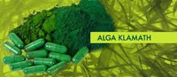 Algas Klamath en polvo