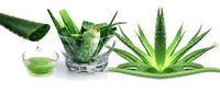 Aloe Vera Extracto 200:1